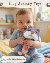 Load image into Gallery viewer, Ayeboovi Talking Hamster Repeats What You Say, Interactive Toy for 2 3 4 5 Year Old Girls Boys - Light Gray - Image 6
