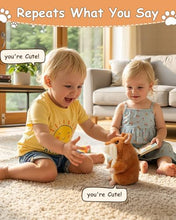 Load image into Gallery viewer, Ayeboovi Toddler Toys Talking Hamster Repeats What You Say, Stuffed Animals Interactive Learning Autism Toy - Brown - Image 3

